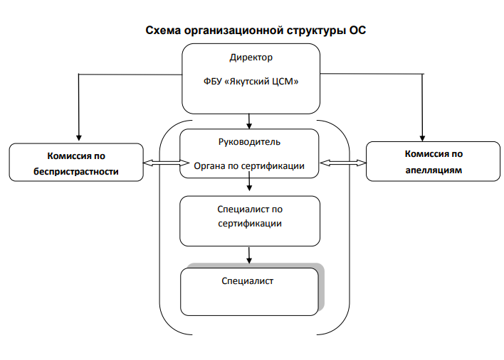 структура структура