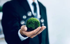 ВЗАИМНОЕ ПРИЗНАНИЕ СТАНДАРТОВ И МЕТОДИКИ ОТВЕТСТВЕННОГО ВЕДЕНИЯ БИЗНЕСА