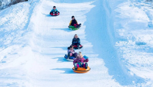 БЕЗОПАСНОСТЬ ТЮБИНГОВЫХ ГОРОК – НОВЫЙ НАЦИОНАЛЬНЫЙ СТАНДАРТ