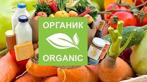 В России количество производителей органической продукции выросло на 46% за 2022 год
