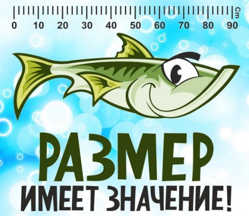 Ловись рыбка, мала и велика - ведь это счастье для любого рыбака! Ловись рыбка, мала и велика - ведь это счастье для любого рыбака!