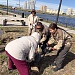 ЭКОЛОГИЧЕСКАЯ АКЦИЯ КО ДНЮ ГОСУДАРСТВЕННОГО ФЛАГА РОССИЙСКОМ ФЕДЕРАЦИИ